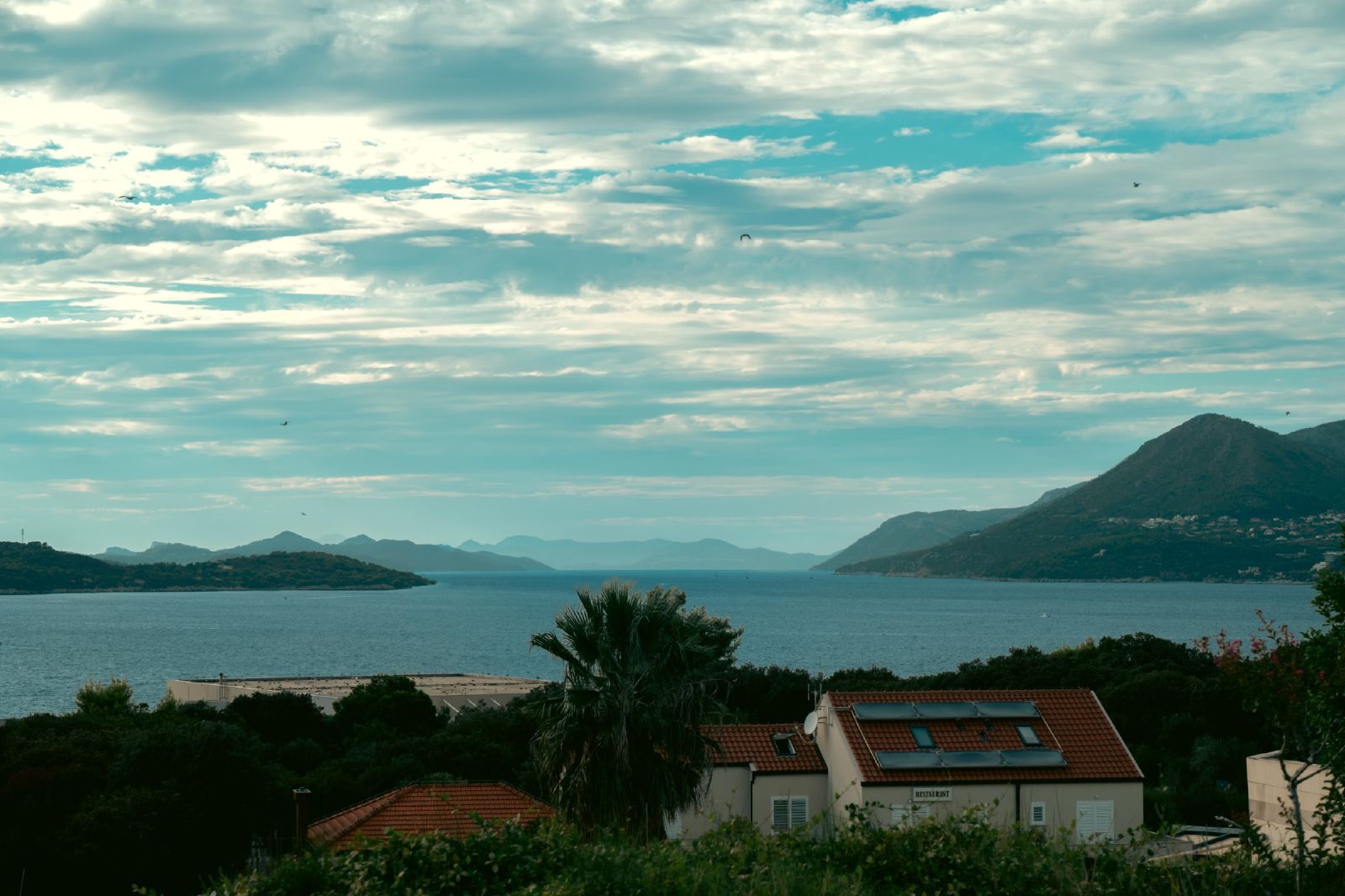 Bay
